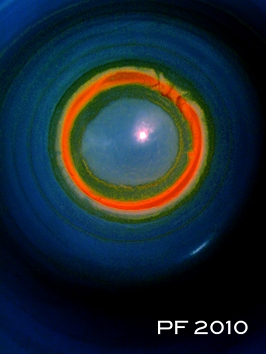 PF 2010