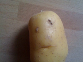 chleba